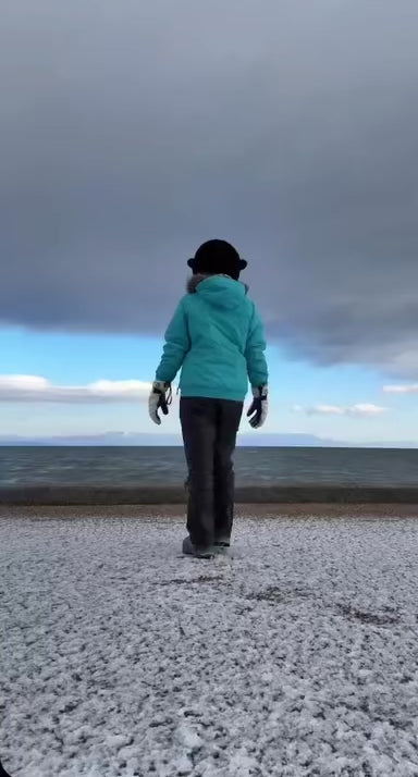 動画を読み込む: 